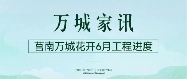 万城家讯 | 莒南万城花开6月工程进度